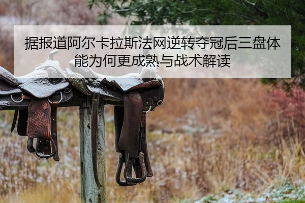据报道阿尔卡拉斯法网逆转夺冠后三盘体能为何更成熟与战术解读