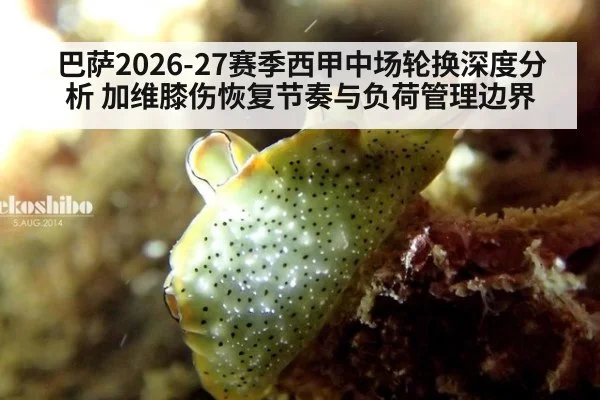 巴萨2026-27赛季西甲中场轮换深度分析 加维膝伤恢复节奏与负荷管理边界