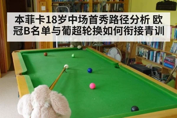 本菲卡18岁中场首秀路径分析 欧冠B名单与葡超轮换如何衔接青训